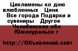 Цикламены ко дню влюбленных › Цена ­ 180 - Все города Подарки и сувениры » Другое   . Челябинская обл.,Южноуральск г.